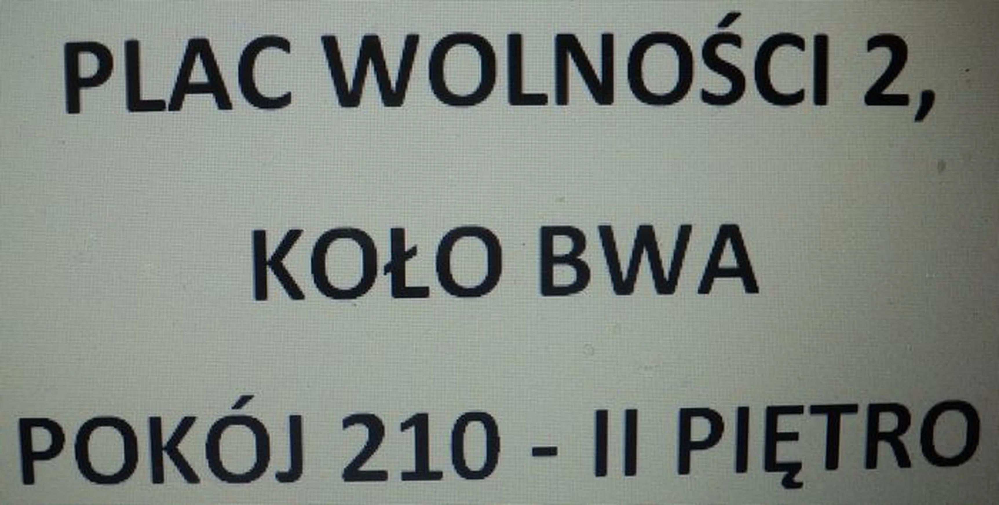 Zdjęcie z galerii